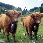 Feriehus Bausch Balderschwang